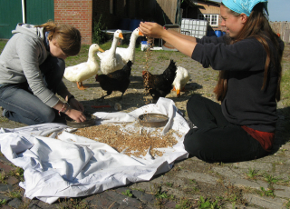 Umwelterkundung in Iffens [Foto: W. Meiners]